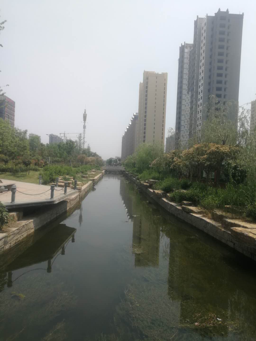 盛世元集团