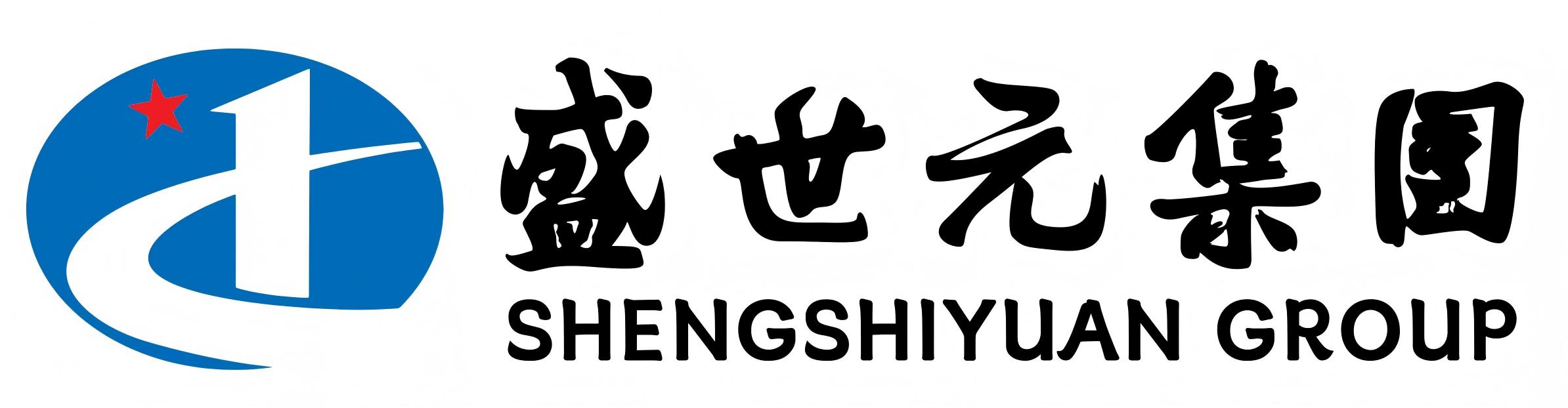 山东盛世元建设集团有限公司