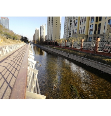 2016年度临沂市经济技术开发区小埠东灌区续建配套与节水改造项目