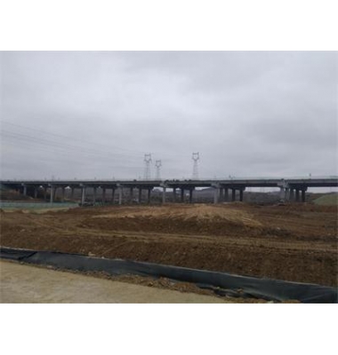 荣乌国家高速公路潍坊至日照联络线潍城至日照段陈疃北互通立交