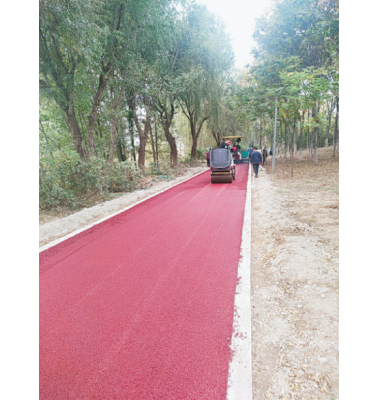 临沂市园林局直管绿地综合提升项目园路改造新建工程(绿道建设)施工一标段