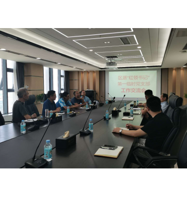 区派“红领书记”第一临时党支部工作交流会