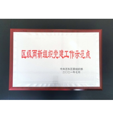喜报!山东盛世元建设集团有限公司荣获区级两新组织党建工作示范点荣誉称号!