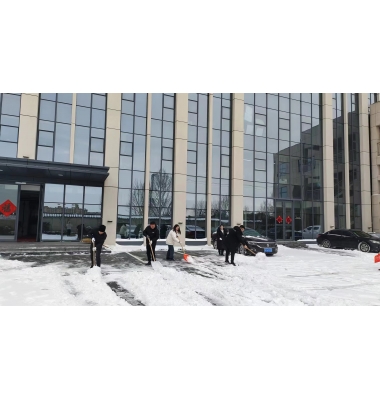 扫雪除冰保安全 盛世元人在行动