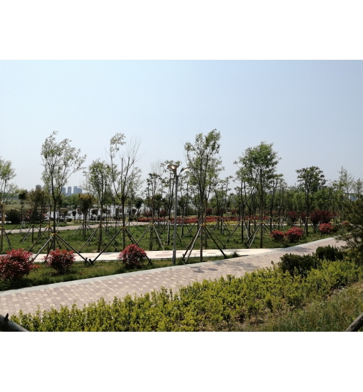 沂河河道景观绿化提升工程（右岸广州路至长春路）施工绿道项目