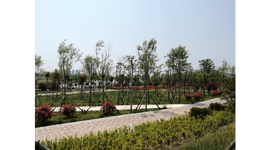 沂河河道景观绿化提升工程（右岸广州路至长春路）施工绿道项目